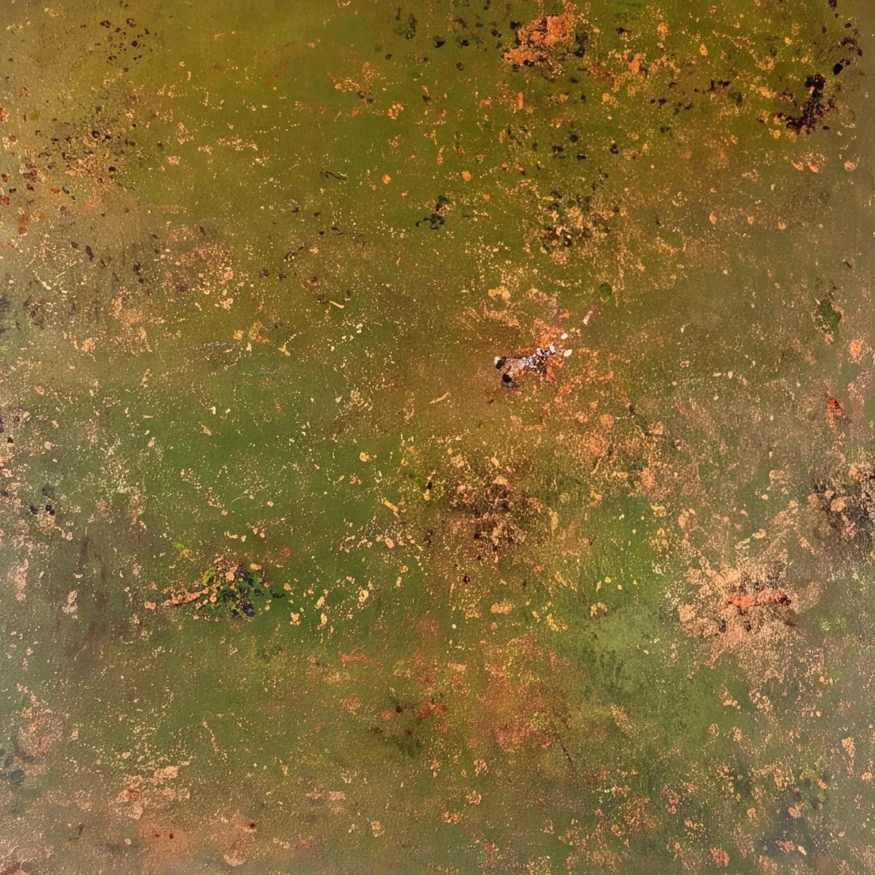 Late Summer, 100 × 100 cm, acrylic on canvas, 2023